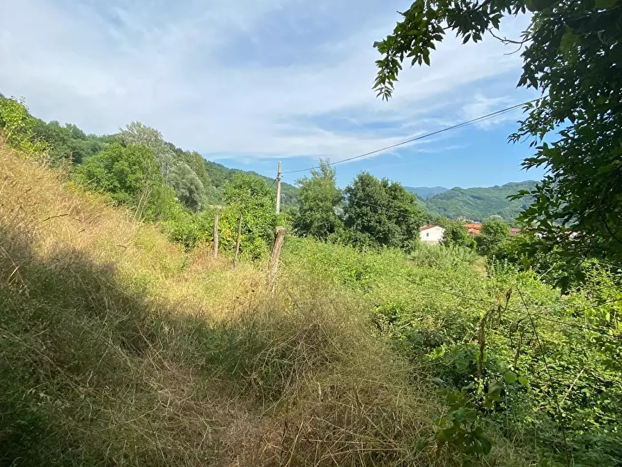 Immagine 28 di Casa colonica in vendita  a Coreglia Antelminelli