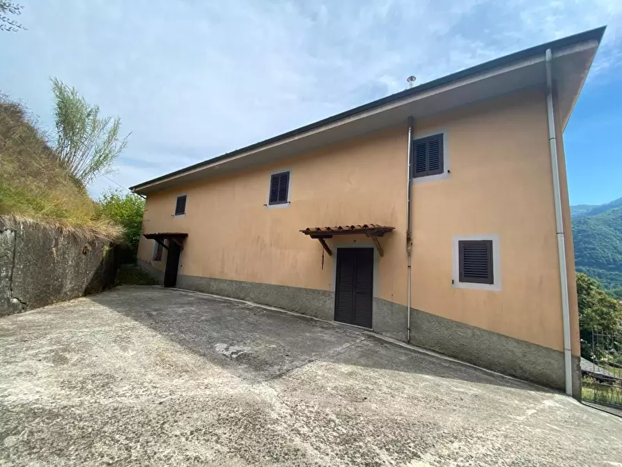 Immagine 1 di Casa colonica in vendita  a Coreglia Antelminelli