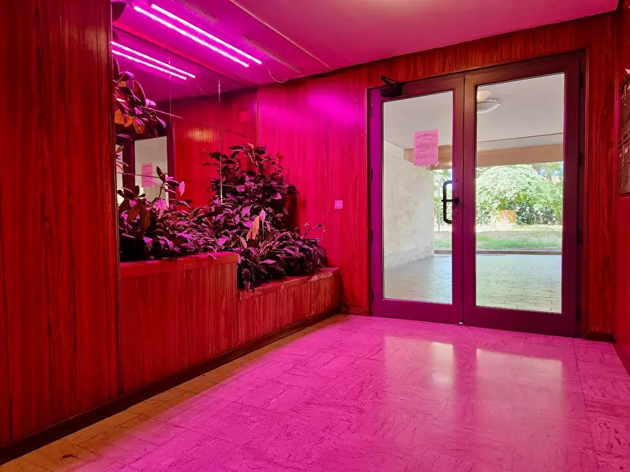 Immagine 43 di Appartamento in vendita  a Pisa