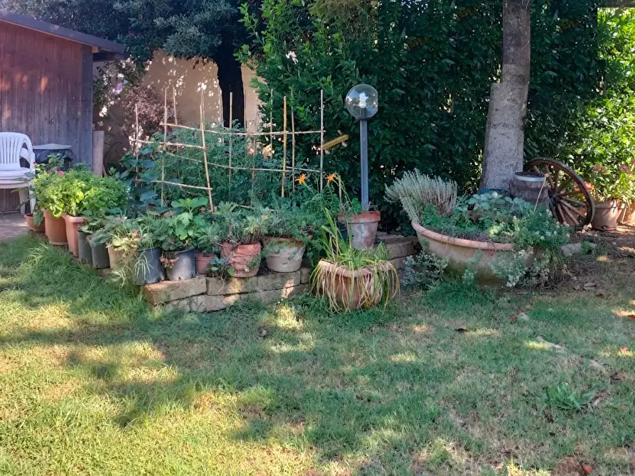 Immagine 4 di Appartamento in vendita  a Lastra A Signa