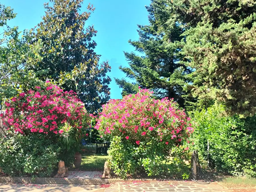 Immagine 1 di Appartamento in vendita  a Lastra A Signa