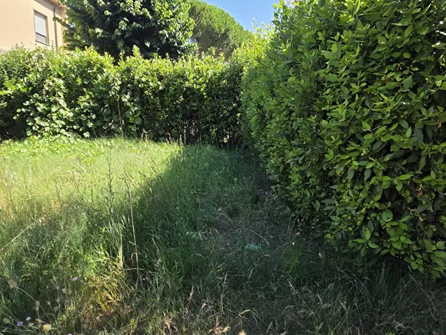 Immagine 8 di Appartamento in vendita  a Cascina