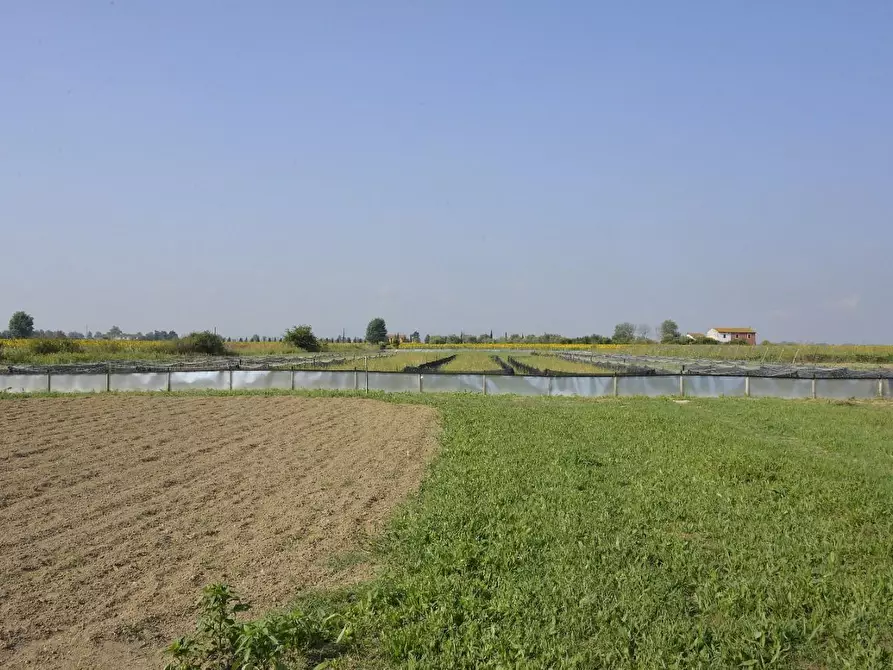 Immagine 1 di Terreno agricolo in vendita  a Cascina