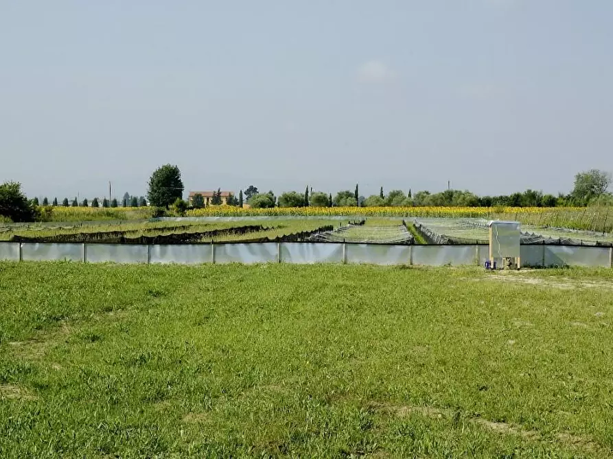 Immagine 2 di Terreno agricolo in vendita  a Cascina