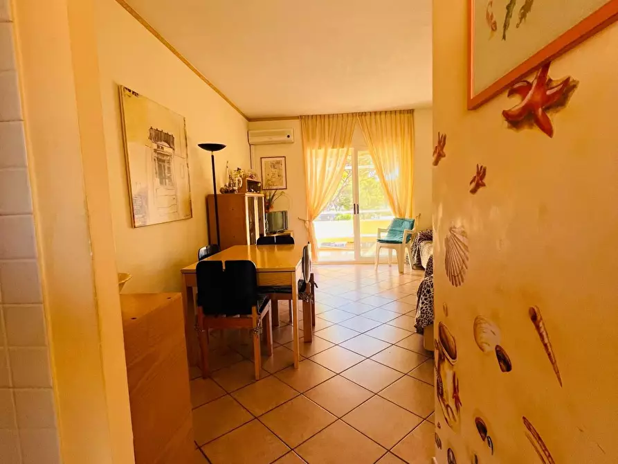 Immagine 2 di Appartamento in vendita  a Bibbona