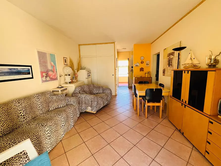 Immagine 4 di Appartamento in vendita  a Bibbona