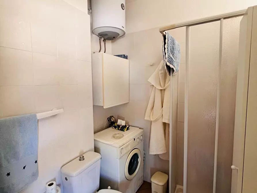 Immagine 11 di Appartamento in vendita  a Bibbona