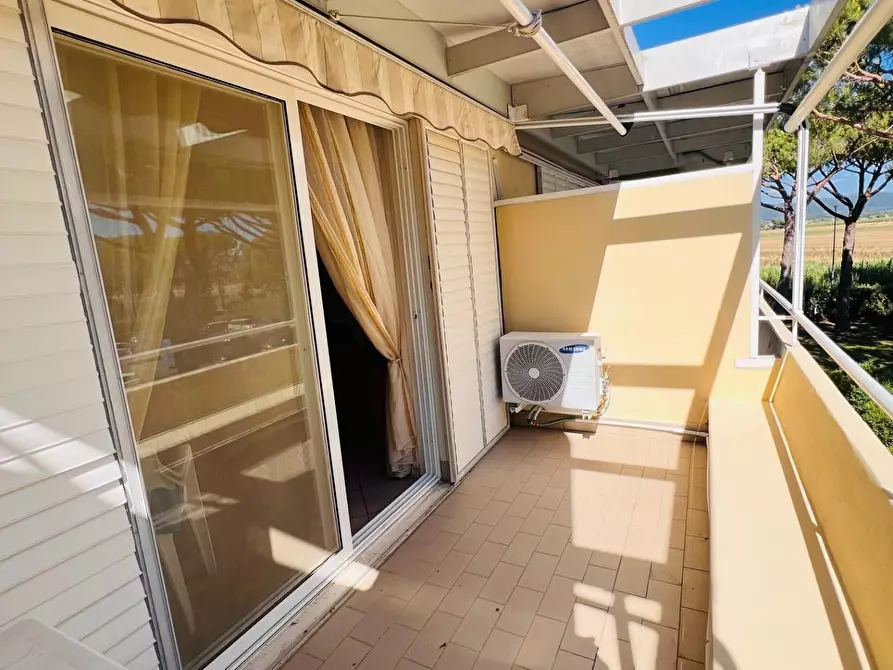 Immagine 9 di Appartamento in vendita  a Bibbona