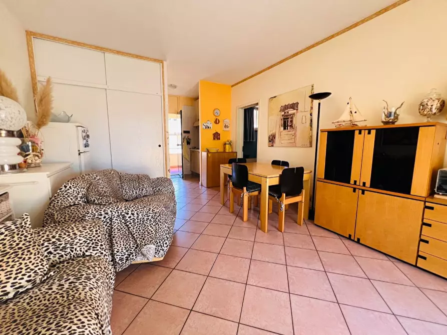 Immagine 3 di Appartamento in vendita  a Bibbona