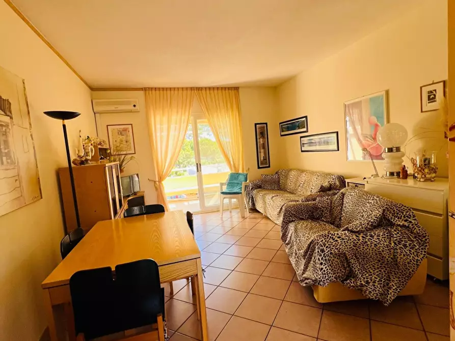 Immagine 5 di Appartamento in vendita  a Bibbona