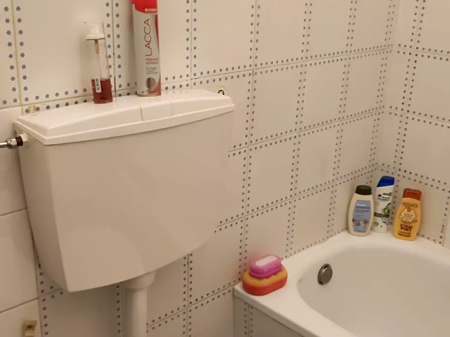 Immagine 7 di Appartamento in vendita  a Sarzana