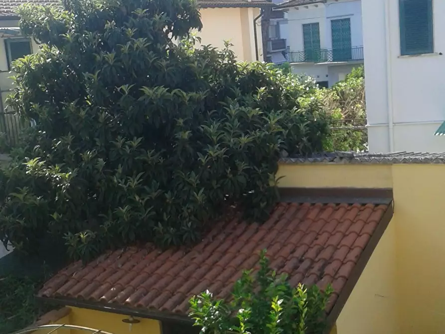 Immagine 1 di Appartamento in vendita  a Viareggio