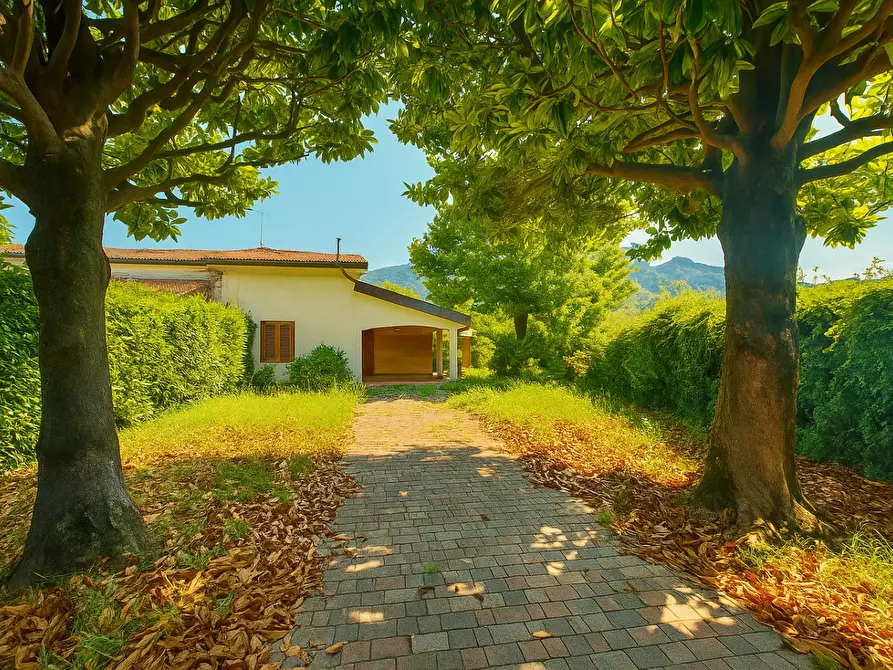 casa indipendente in vendita a Pietrasanta