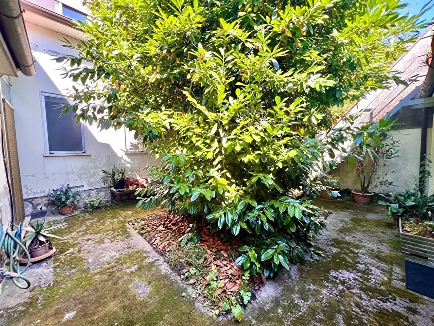 Immagine 7 di Casa bifamiliare in vendita  a Pietrasanta