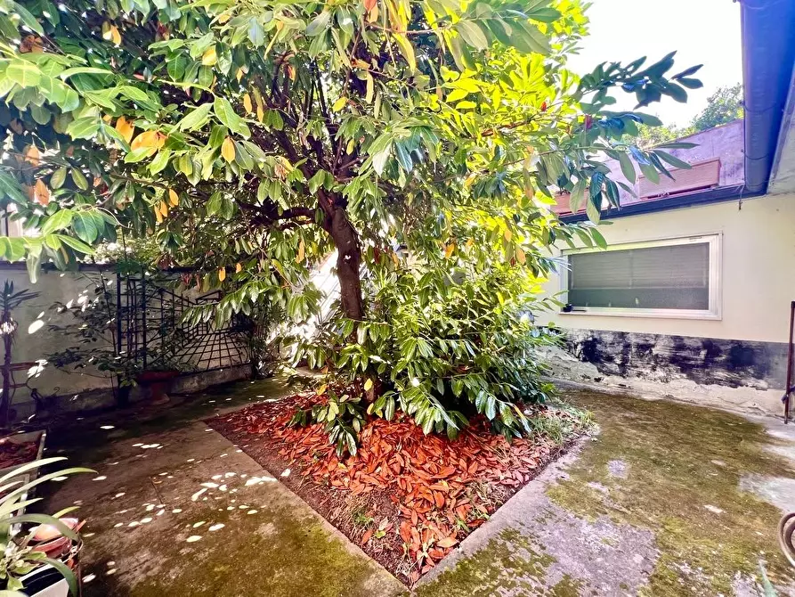 Immagine 8 di Casa bifamiliare in vendita  a Pietrasanta