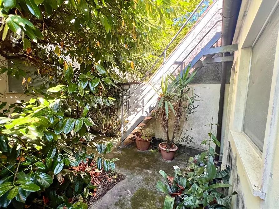 Immagine 6 di Casa bifamiliare in vendita  a Pietrasanta