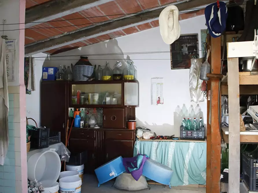 Immagine 23 di Terratetto in vendita  a Crespina Lorenzana