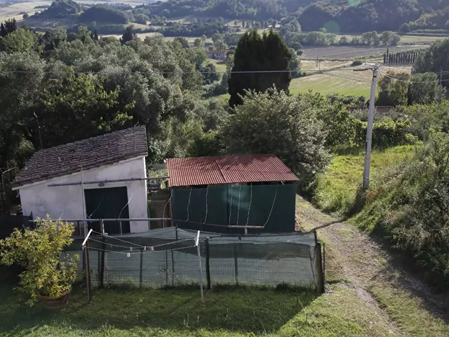 Immagine 28 di Terratetto in vendita  a Crespina Lorenzana
