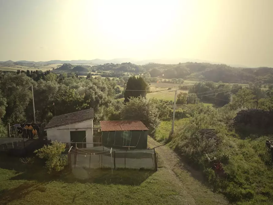 Immagine 2 di Terratetto in vendita  a Crespina Lorenzana