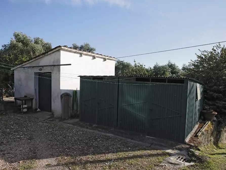 Immagine 24 di Terratetto in vendita  a Crespina Lorenzana