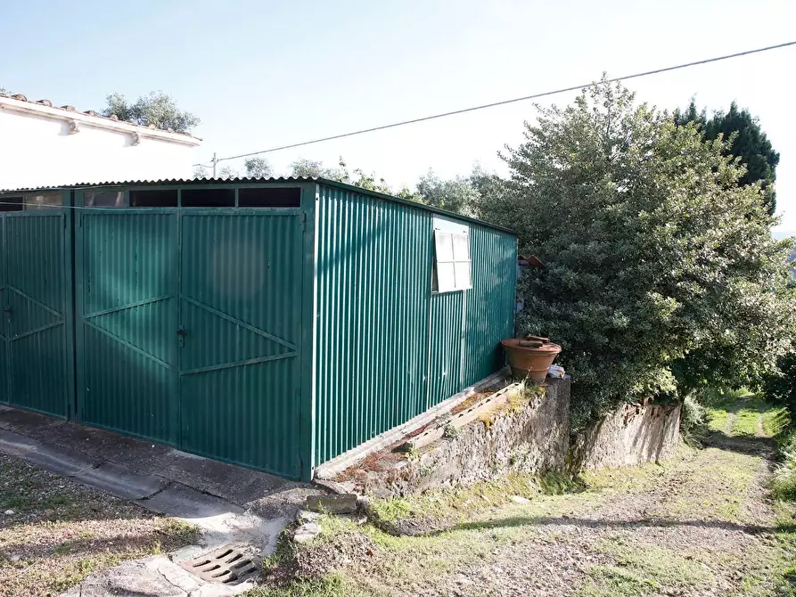 Immagine 25 di Terratetto in vendita  a Crespina Lorenzana