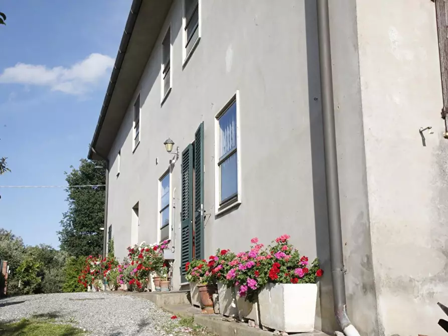 Immagine 1 di Terratetto in vendita  a Crespina Lorenzana