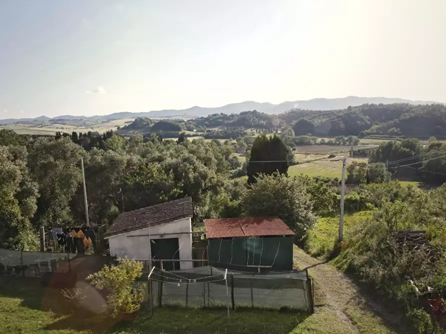 Immagine 29 di Terratetto in vendita  a Crespina Lorenzana
