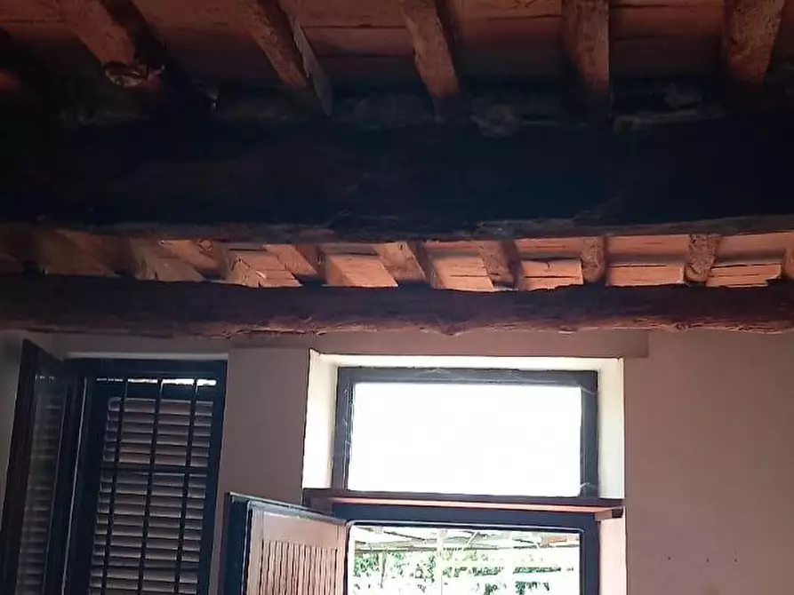 Immagine 7 di Appartamento in vendita  a Calci