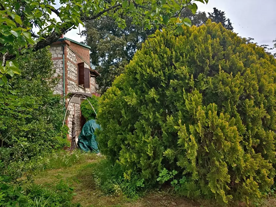 Immagine 26 di Casa colonica in vendita  a Rapolano Terme