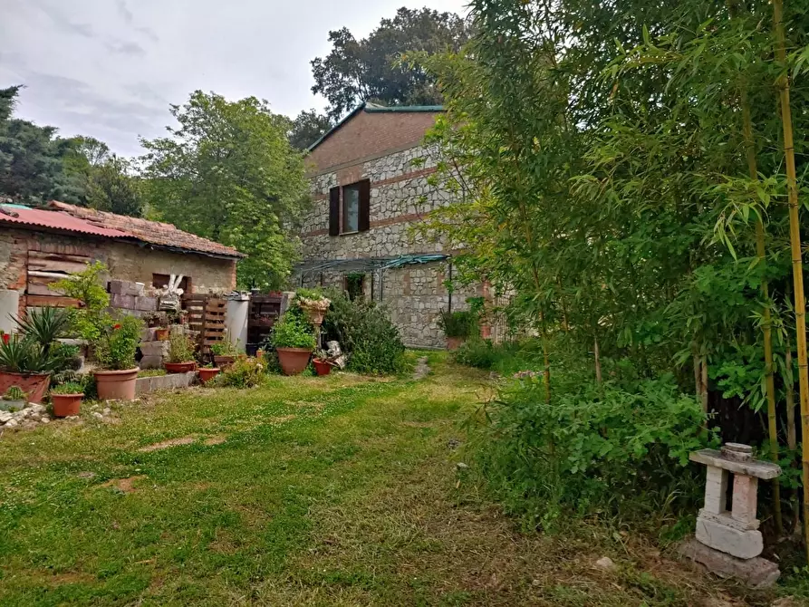 Immagine 5 di Casa colonica in vendita  a Rapolano Terme