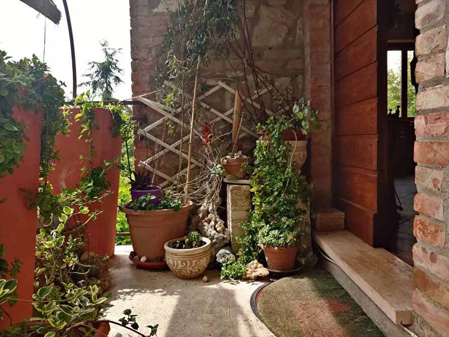 Immagine 23 di Casa colonica in vendita  a Rapolano Terme