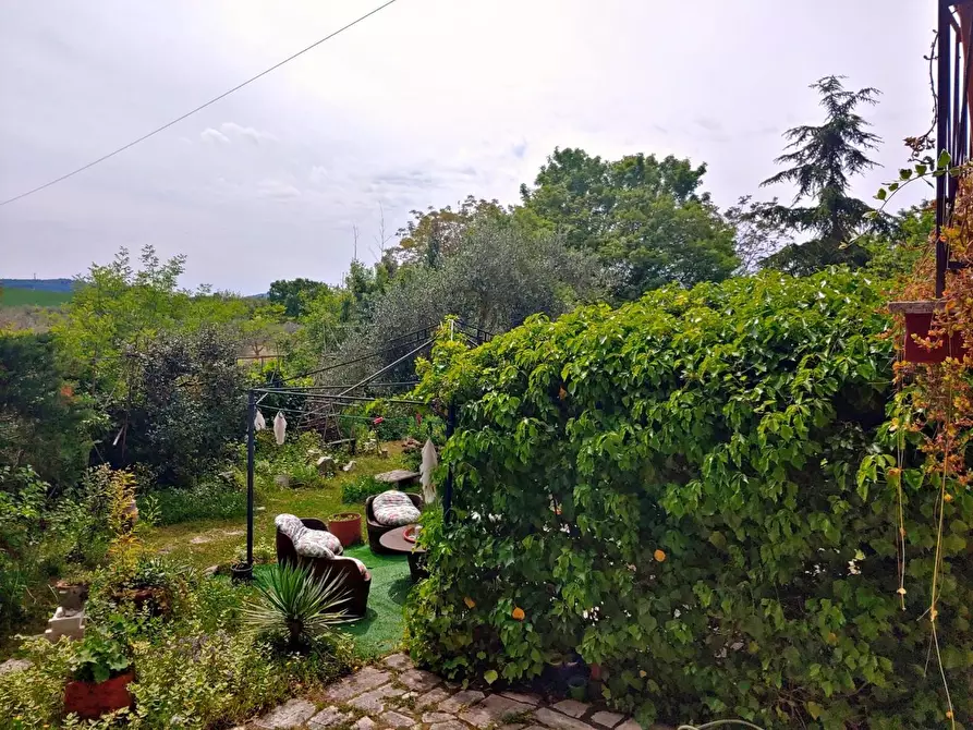 Immagine 22 di Casa colonica in vendita  a Rapolano Terme