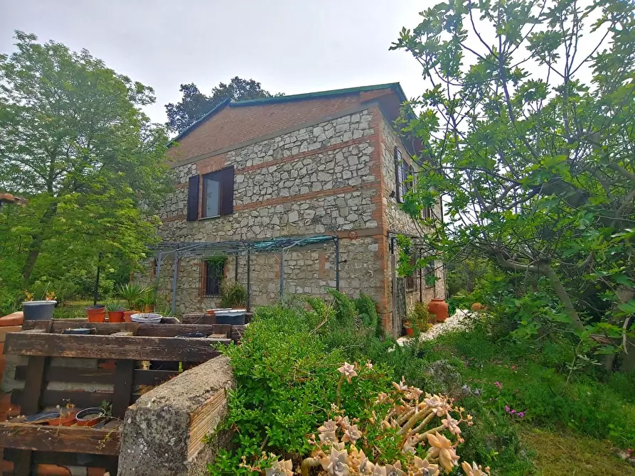 Immagine 2 di Casa colonica in vendita  a Rapolano Terme