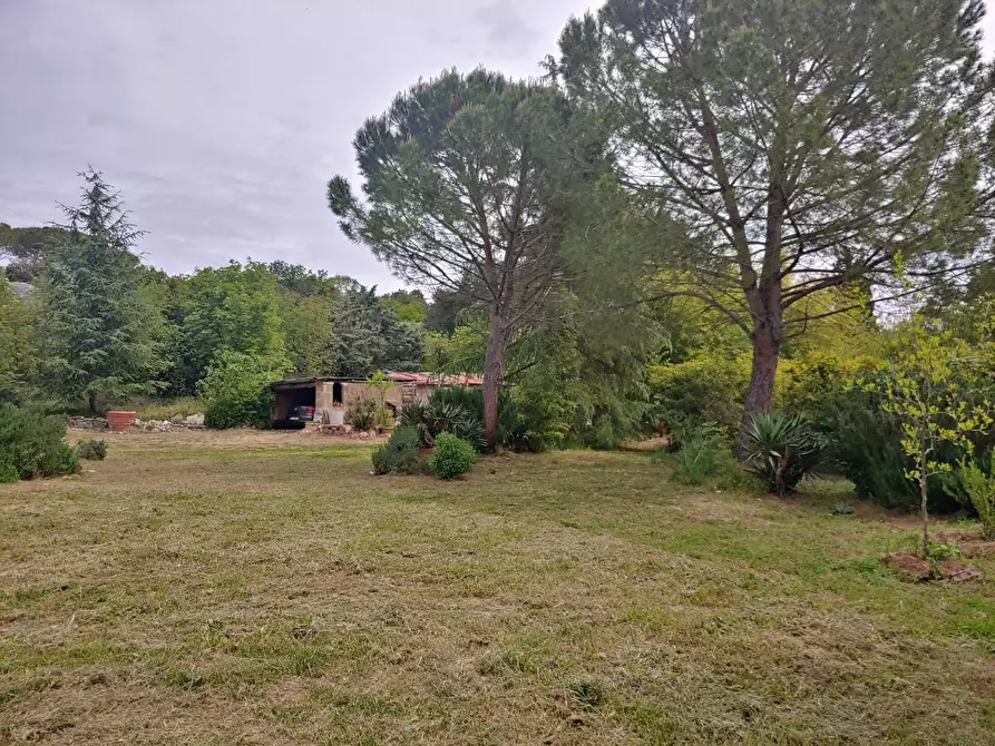Immagine 14 di Casa colonica in vendita  a Rapolano Terme