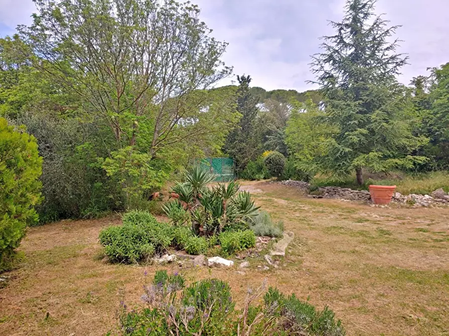 Immagine 16 di Casa colonica in vendita  a Rapolano Terme