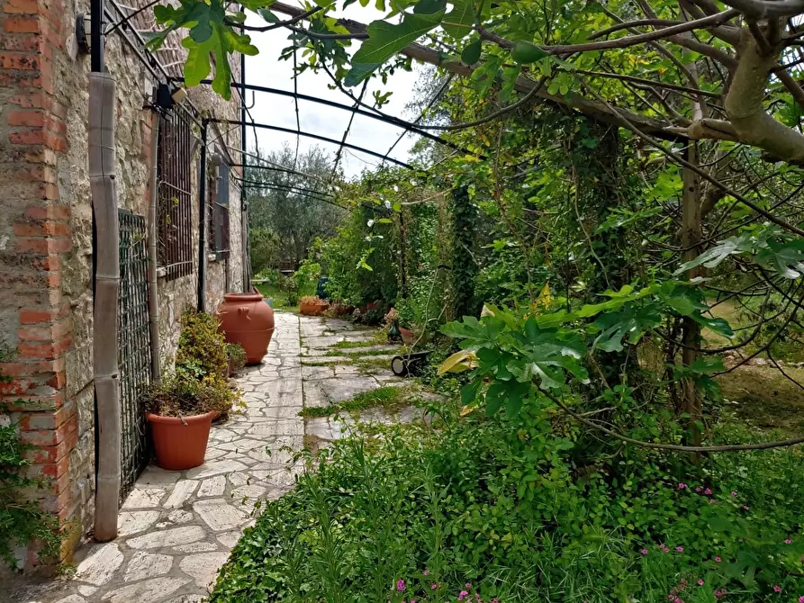 Immagine 12 di Casa colonica in vendita  a Rapolano Terme