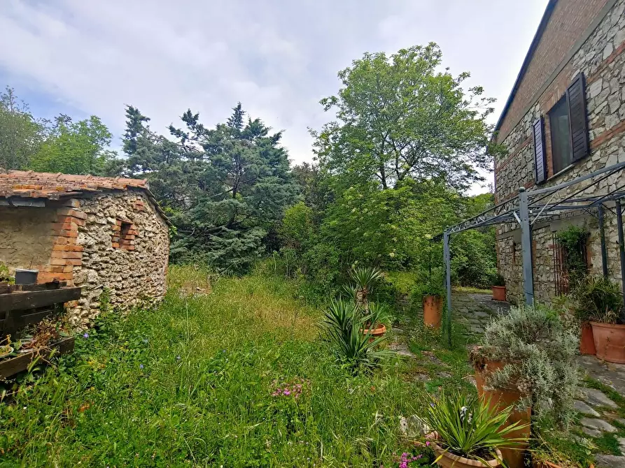 Immagine 3 di Casa colonica in vendita  a Rapolano Terme