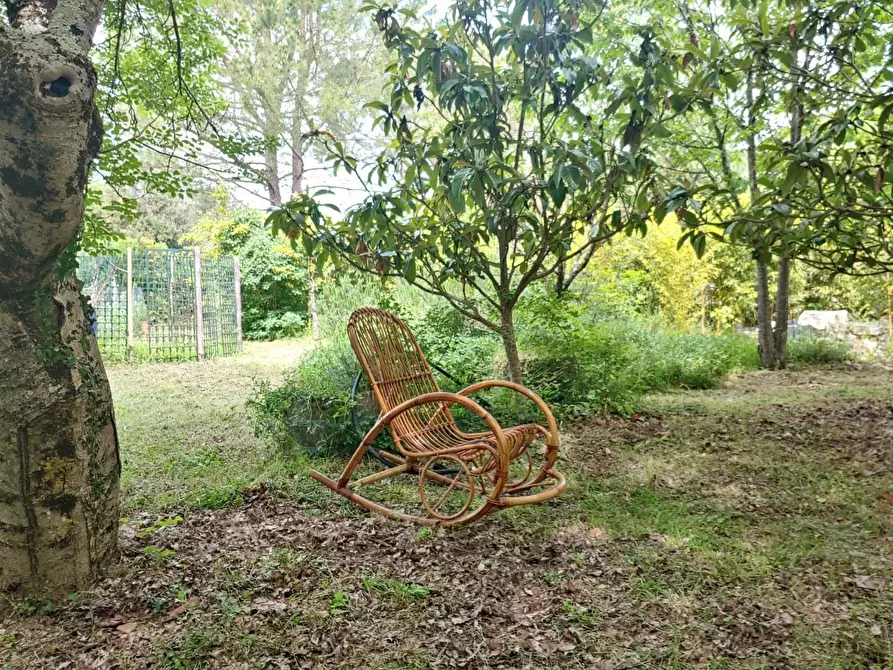 Immagine 11 di Casa colonica in vendita  a Rapolano Terme