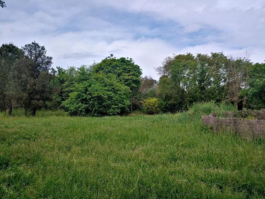 Immagine 17 di Casa colonica in vendita  a Rapolano Terme