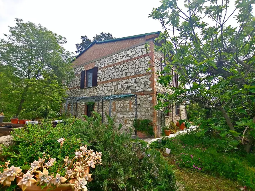 Immagine 1 di Casa colonica in vendita  a Rapolano Terme