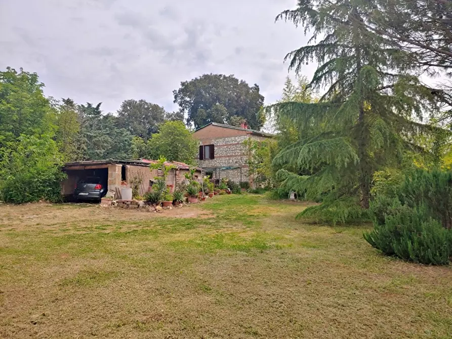 Immagine 15 di Casa colonica in vendita  a Rapolano Terme