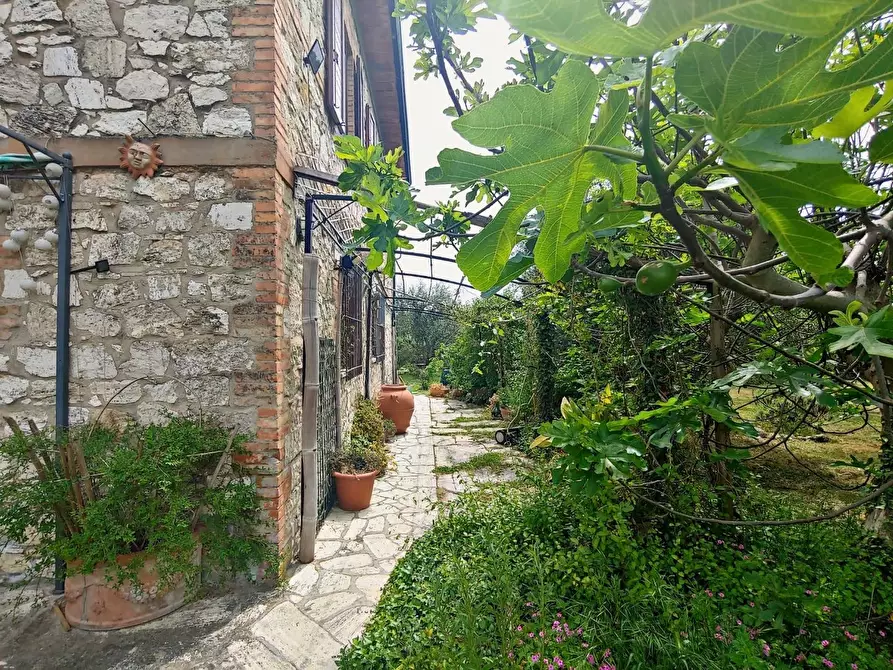 Immagine 4 di Casa colonica in vendita  a Rapolano Terme