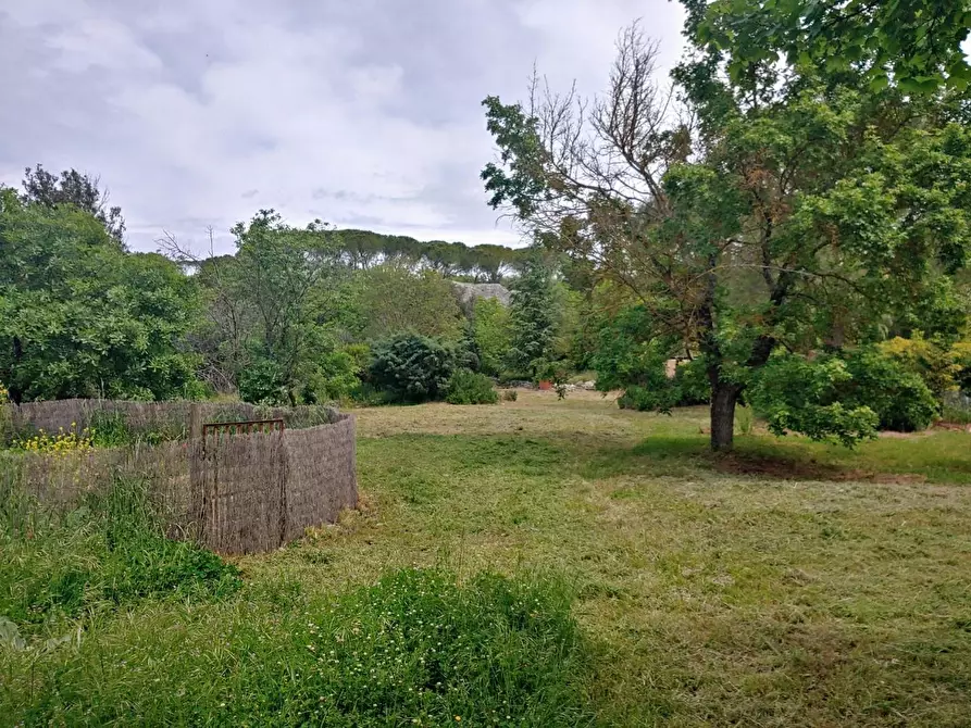 Immagine 13 di Casa colonica in vendita  a Rapolano Terme