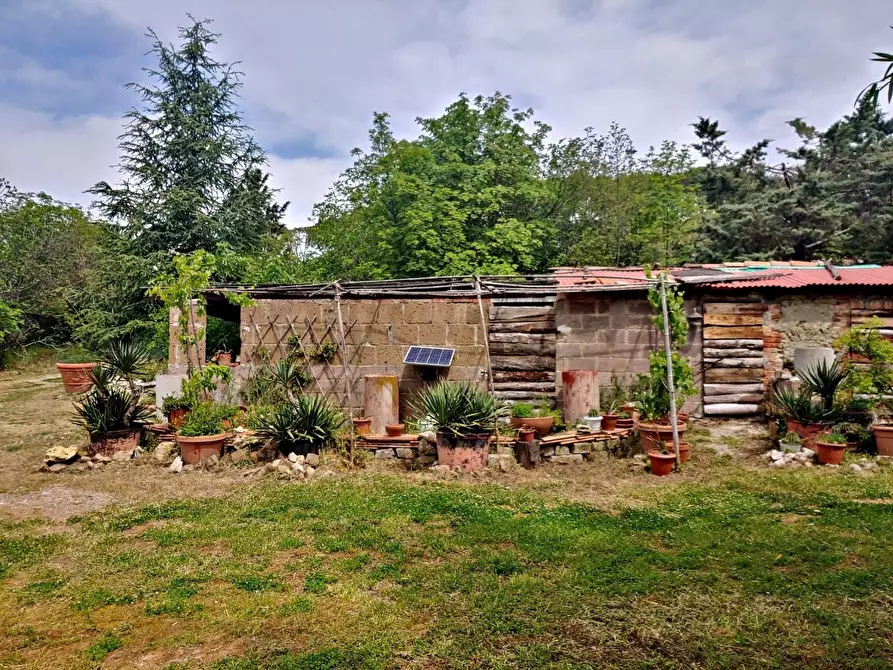 Immagine 27 di Casa colonica in vendita  a Rapolano Terme