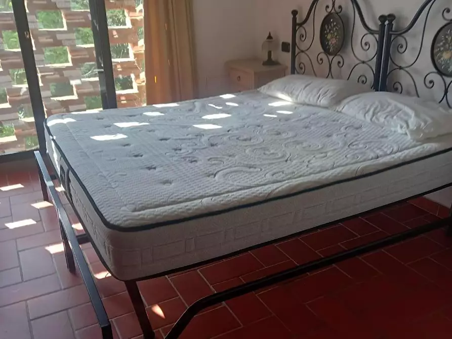 Immagine 24 di Terratetto in affitto  a Pontedera