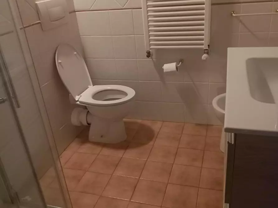 Immagine 27 di Terratetto in affitto  a Pontedera