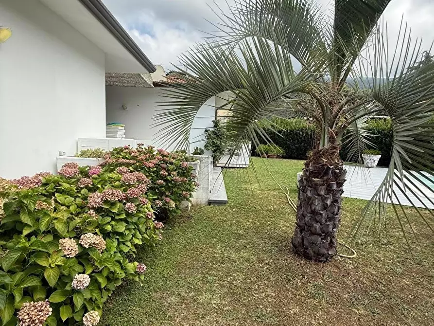 Immagine 15 di Villa in vendita  a Massa
