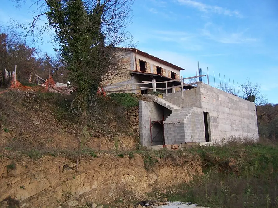 Immagine 7 di Villa in vendita  a Scansano
