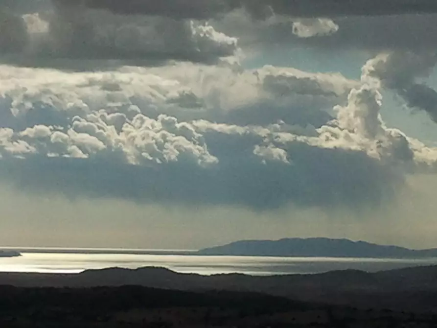 Immagine 6 di Villa in vendita  a Scansano