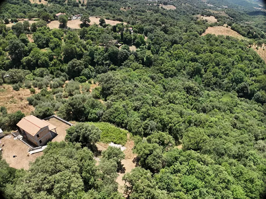Immagine 14 di Villa in vendita  a Scansano